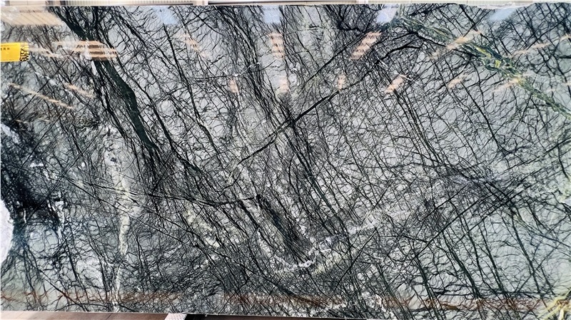 Dark Polar Rainforest Green Marble Slab