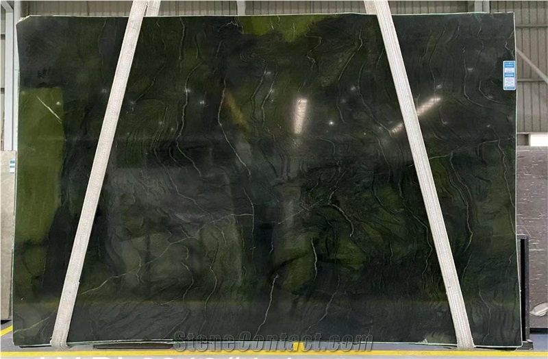 Polished Green Avocatus Quartzite Slab