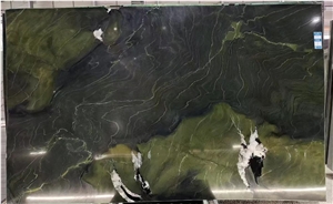 Polished Green Avocatus Quartzite Slab