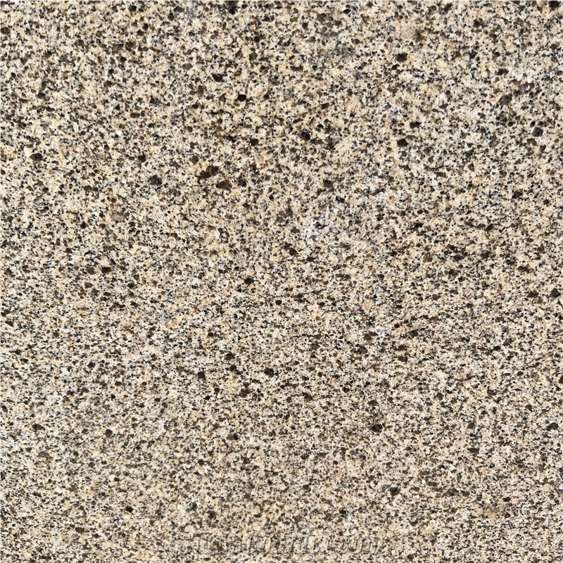 Competitive Price Golden Sesame Granite Slabs