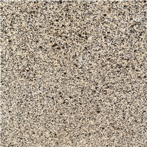 Competitive Price Golden Sesame Granite Slabs