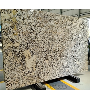 Hot Sale White Pandora Granite Slabs With Black Pattern