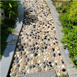 Natural Colored Pebble Stone For Garden Path With Cement