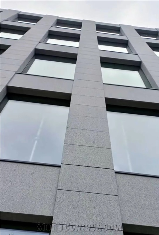 Good Anti-Wear Performance HN G654 Granite Wall Tiles