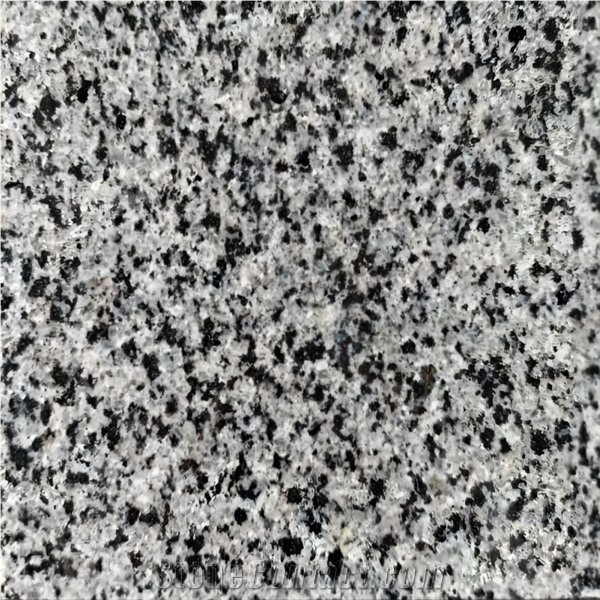 Hard Texture G641 Granite 45°Mitre Joint Tiles