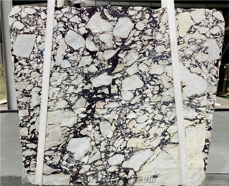 Calacatta Viola Marble_Aries
