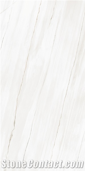 Grande Massimo Porcelain Slabs 6011 Bianco Lasa