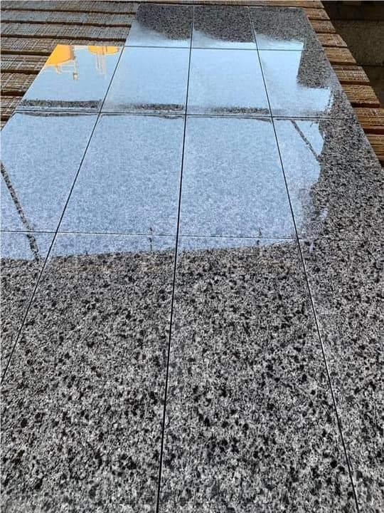 New Halayeb Granite Tiles,Granite Slabs