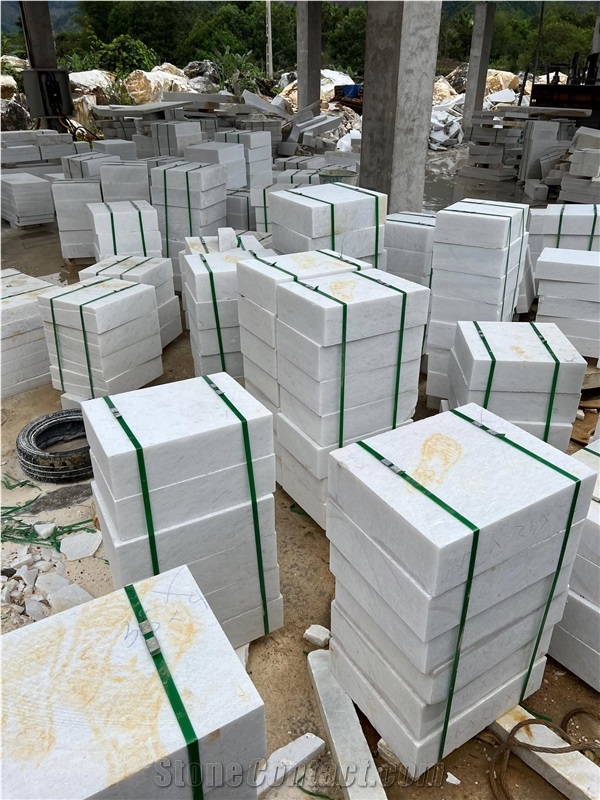 Vietnam Coral Pure White Marble Blocks