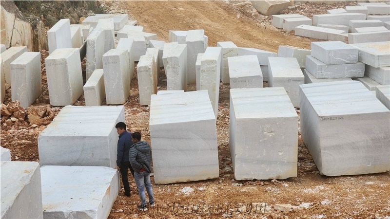 Vietnam Coral Pure White Marble Blocks