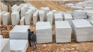 Vietnam Coral Pure White Marble Blocks