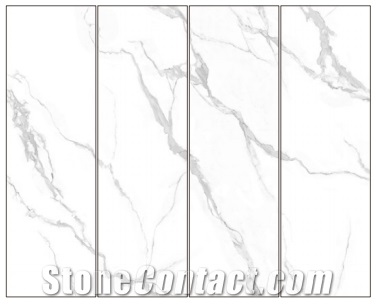 CARACA WHITE Sintered Stone