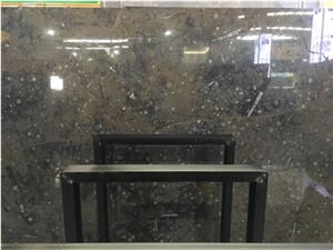 Antique Fossil Brown Marble Slab