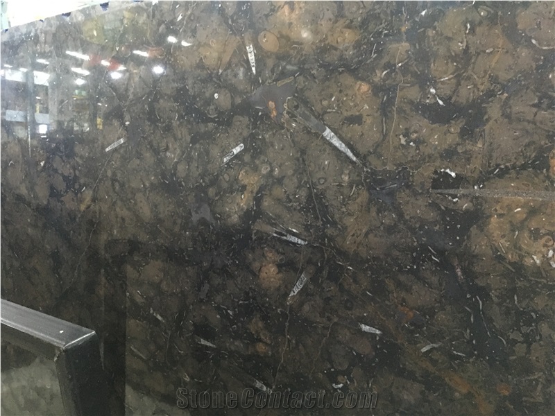 Antique Fossil Brown Marble Slab