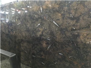 Antique Fossil Brown Marble Slab