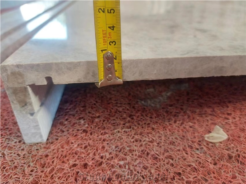 Galaxy Silver Marble Countertop For Sharing
