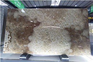 Translucent Book Matched Large Tiger Onyx Slabs