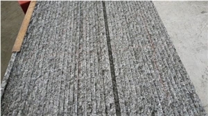 Silver Pearl Granite Slabs From Xzx-Stone