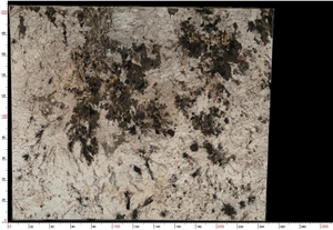 Alaska White Granite Slab
