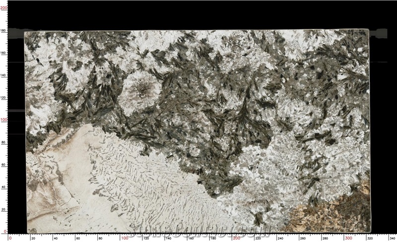 Alaska White Granite Slab