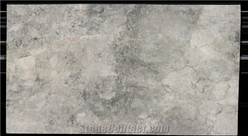 Super White Quartzite Slab