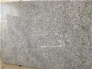 Leopard Grey Granite - Nehbandan Gray Granite
