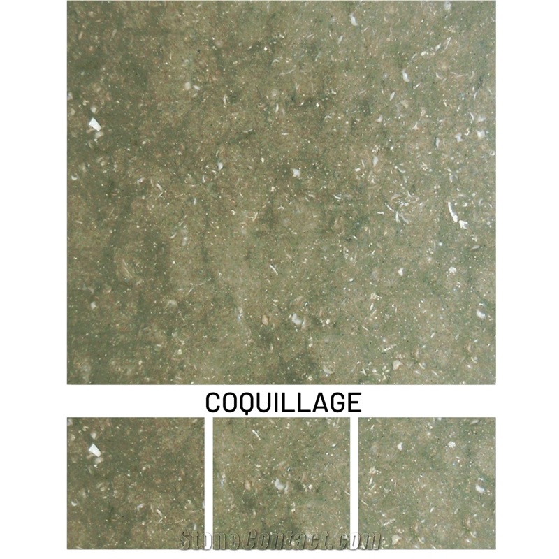 Thala Beige Coquillage Limestone
