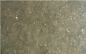 Thala Beige Coquillage Limestone