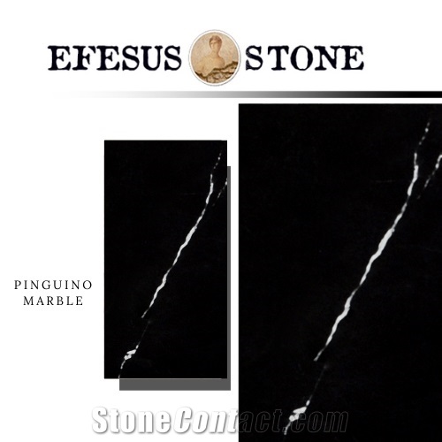 Toros Black Marble - Stone