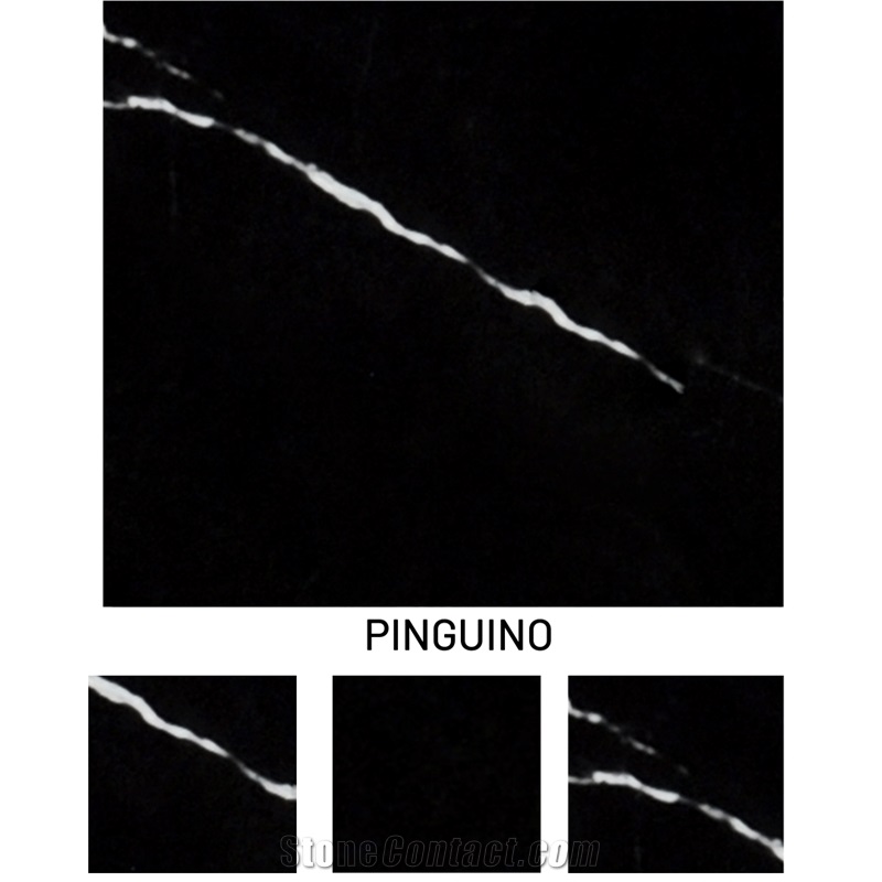 Toros Black Marble - Stone