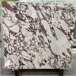 Italy Calacatta Viola Marble Slabs For Floor Tiles