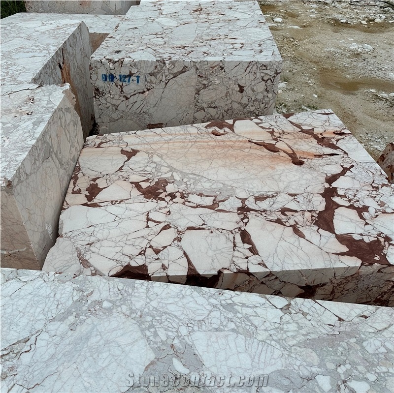 Calacatta Viola Red Marble Block Quary Owner