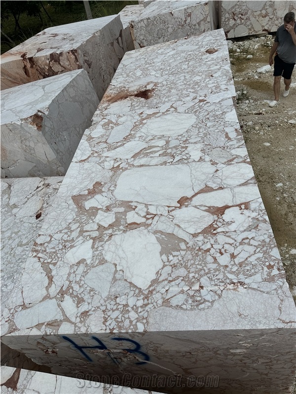 Calacatta Viola Red Marble Block Quary Owner