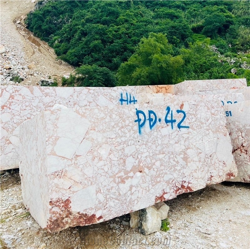 Calacatta Viola Red Marble Block Quary Owner