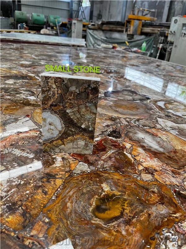 PETRIFIED WOOD BACKGROUND, GEMSTONE WALL PANEL