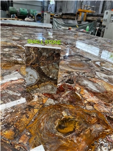 PETRIFIED WOOD BACKGROUND, GEMSTONE WALL PANEL