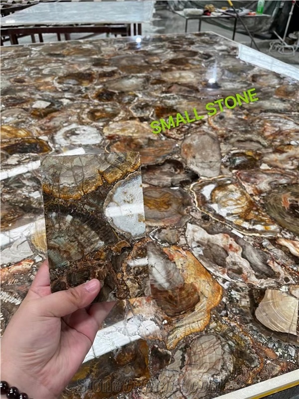 PETRIFIED WOOD BACKGROUND, GEMSTONE WALL PANEL