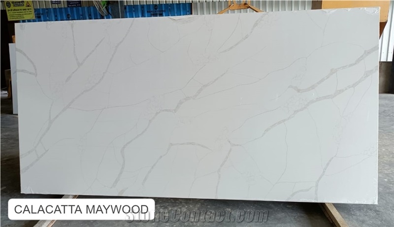 Calacatta Maywood Quartz Slabs