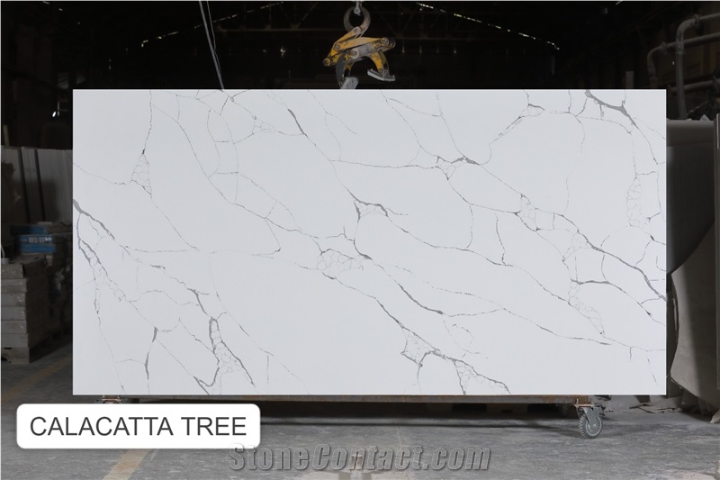 Calacatta Tree Quartz Slabs