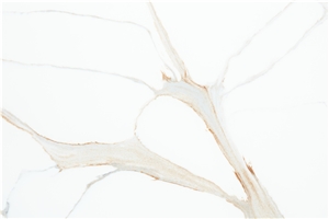 Leather Surface Calacatta Gold Quartz Table Top