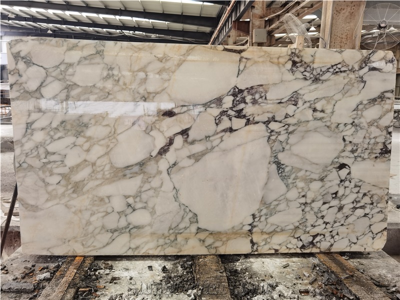 Natural Calacatta Viola Marble Slabs