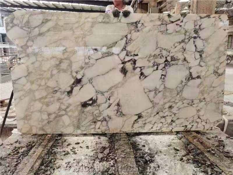 Natural Calacatta Viola Marble Slabs