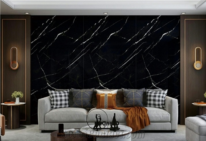 Sintered Stone Black And Withe Roots
