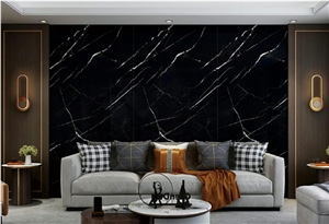 Sintered Stone Black And Withe Roots