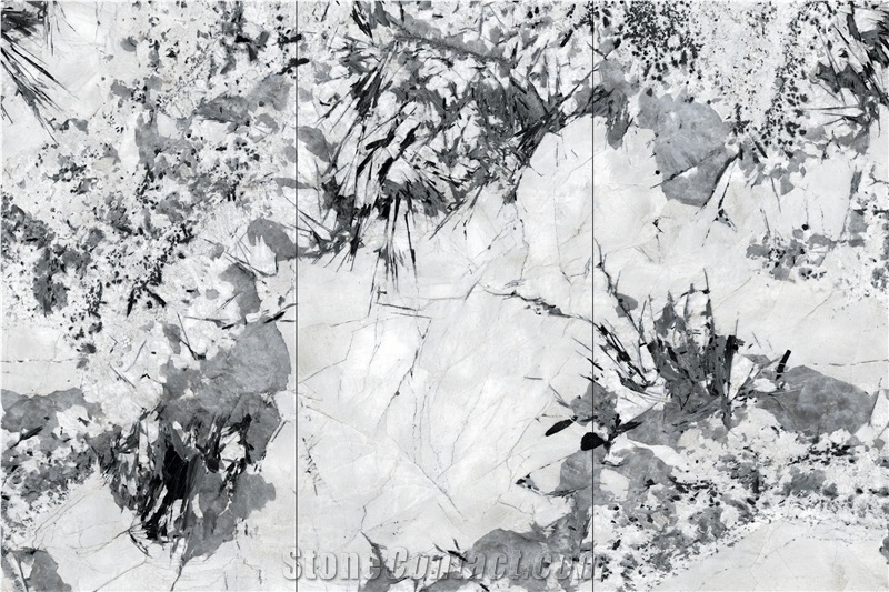 Sintered Stone Snow Mountainn Fly Fox