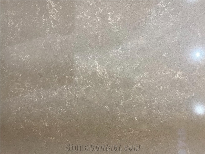 Noble Pro Cloud Quartz Slab