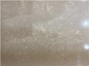 Noble Pro Cloud Quartz Slab