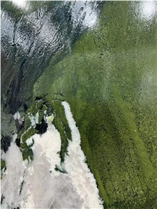 Brazil Avocado Green Quartzite Polished Slabs