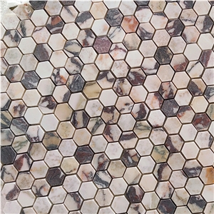 Bvlgari Marble Calacatta Viola Honed Hexagon Mosaic Tiles
