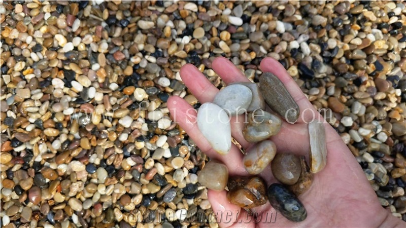 Walkway Pebbles Landscape Pebbles Coloful Pebbles Stone